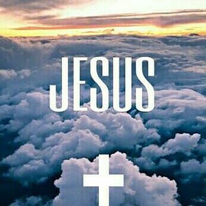 Meet your Posher, Luz